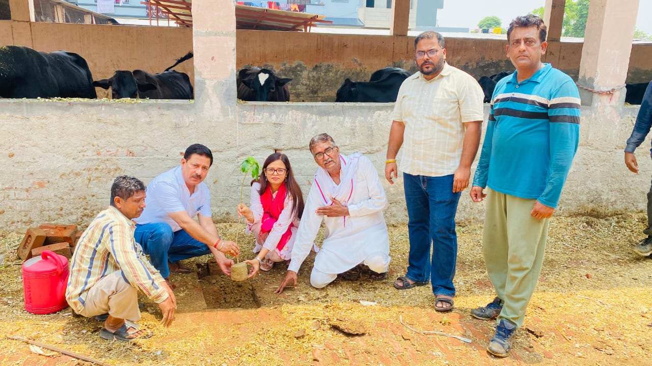 City residents take the pledge of 'One Man-One Tree' to keep the environment clean - Dr. Amandeep Kaur.